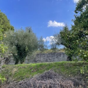 Laboratori natura e ruralità