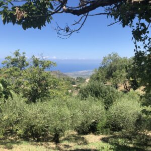 Letture e compiti nella Pineta